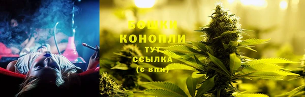 стаф Армянск