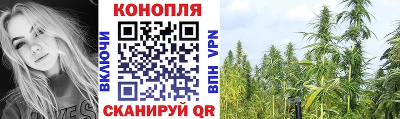 Конопля MAZAR  купить  сайты  Магадан 